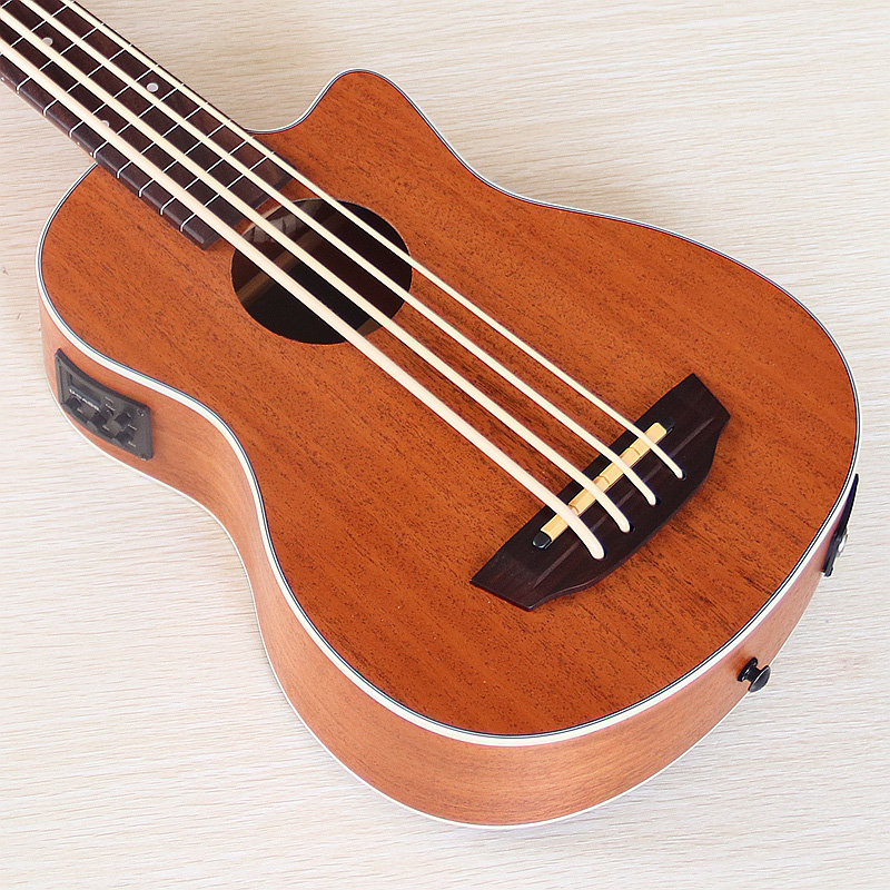 Fretless&Fretted Electric Ukul - đánh giá và giá Ukulele Beginner Kit