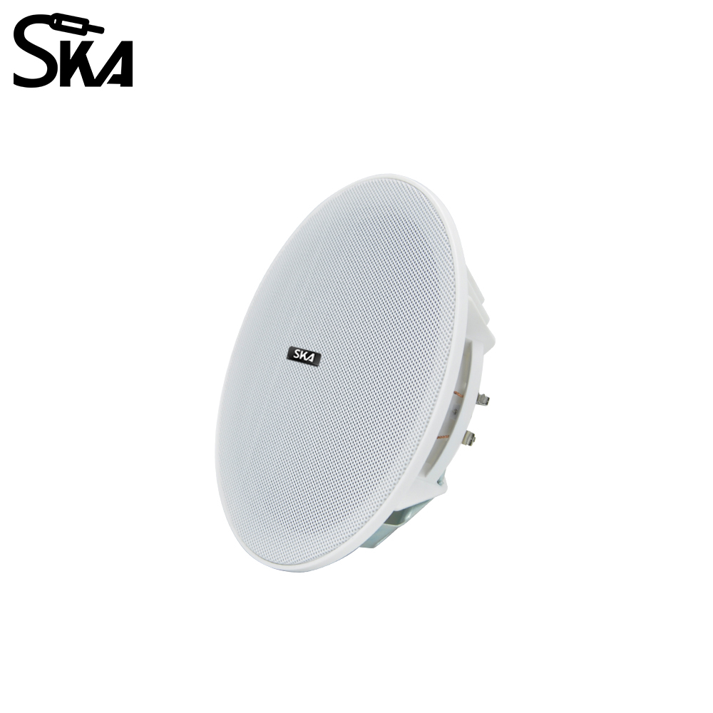 6.5-inch 20W， 8ΩDual cone spea - đánh giá và giá Audio Music Store