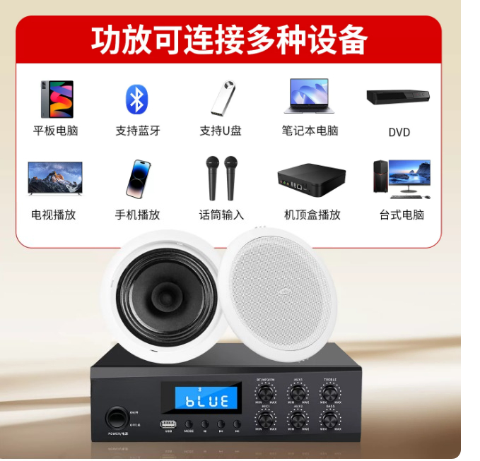 TD202 ceiling speaker ceiling  - đánh giá và giá Audio Music Store