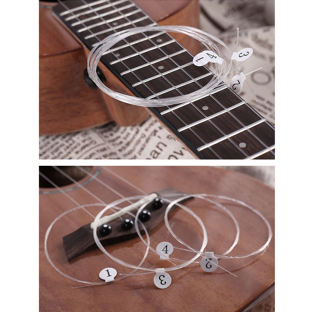 Ukulele Carbon Strings For Sop - đánh giá và giá Ukulele Beginner Kit