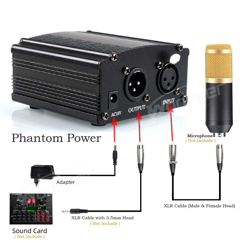 Nguồn Phantom 48V Cung Cấp Với - đánh giá và giá Xlr Microphone Condenser